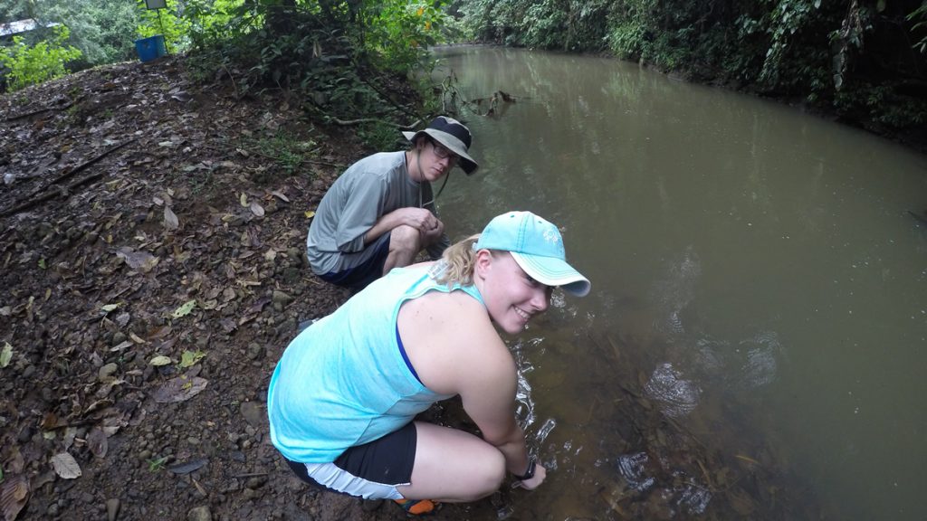 Water quality assessment: Kayla Johnson and Dalton Swindle