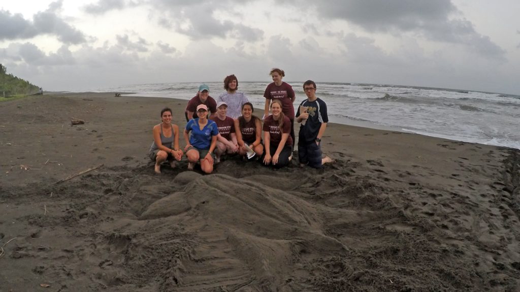 Building a Leatherback sea turtle on the sand to learn about census logistics before night patrols at Pacuare Natural Reserve. Front left to right: Laura Tellez (EPI), Ana Estrella, Hanna Burris, Margo Mendez, Natasha karpel, Dalton Swindle. Back left to right: Kayla Johnson, Alec Moeller and Stephanie Dildine.