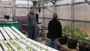 Students in the greenhouse