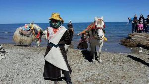 A native in traditional attire by some pack animals beside Qinghai Lake